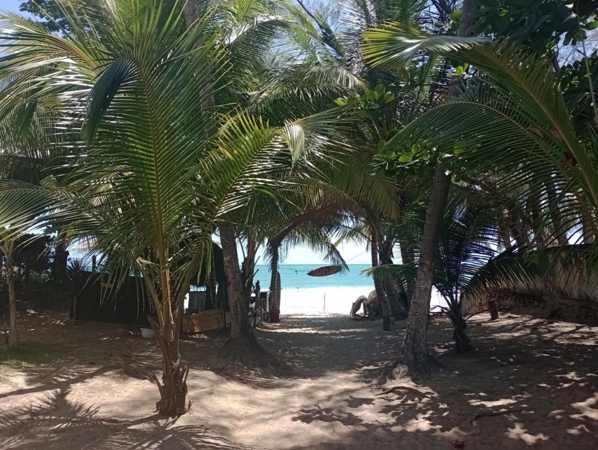 דירות Porto De Galinhas Lindo Ap 2 Q 2 Banh 40 M Da Praia מראה חיצוני תמונה